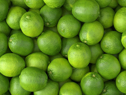 Lime #1