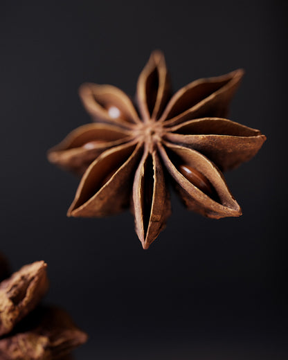 Star Anise #2