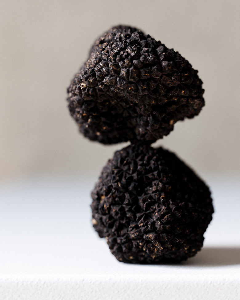 Truffle#1