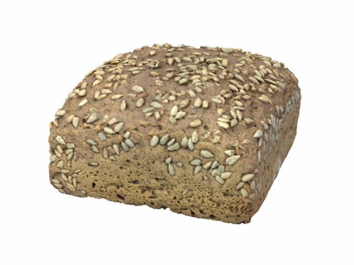 perspective view rendering of a sunflower seed bread 3d model