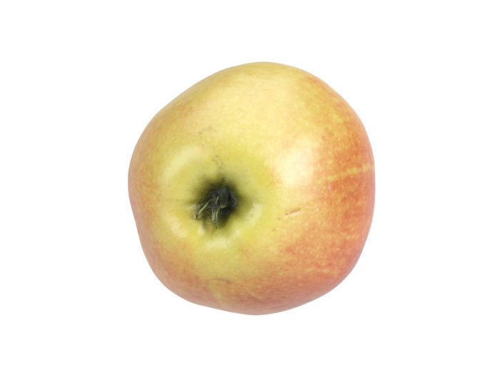 bottom view rendering of a red apple 3d model