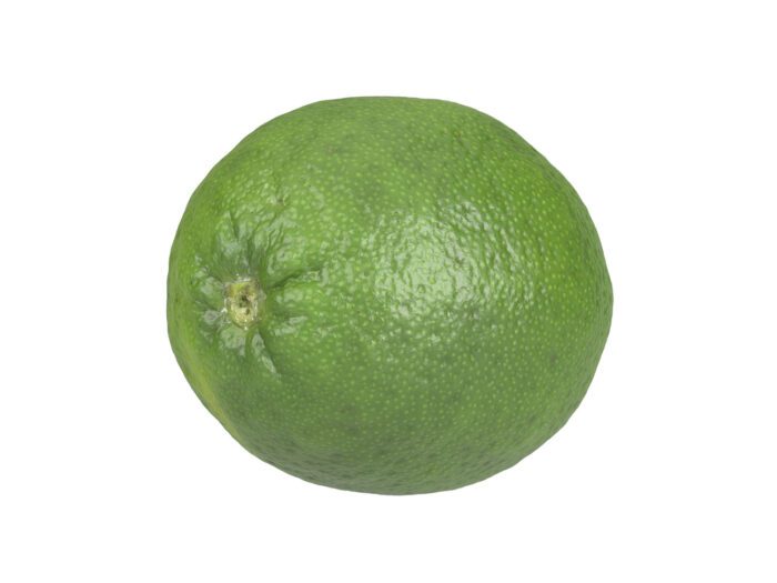 perspective view rendering of a lime 3d model