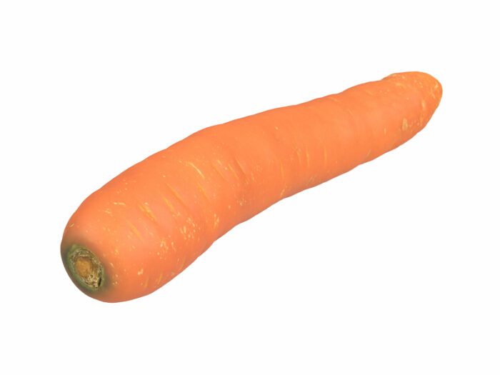 perspective view rendering of a carrot 3d model