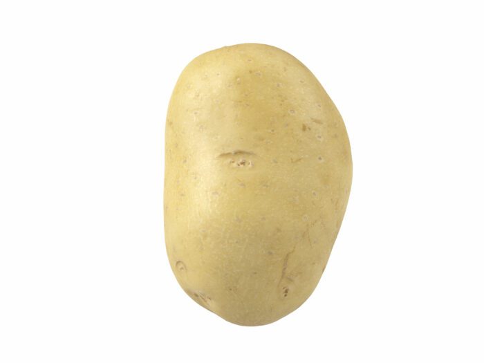 side view rendering of a potato 3d model