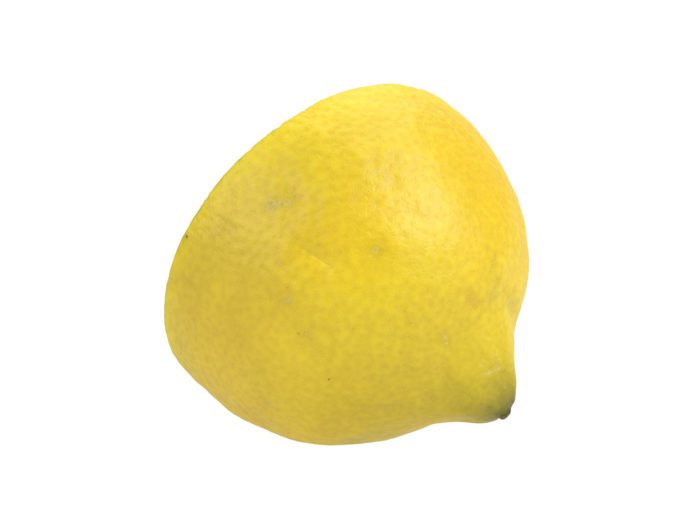 perspective view rendering of a lemon half 3d model