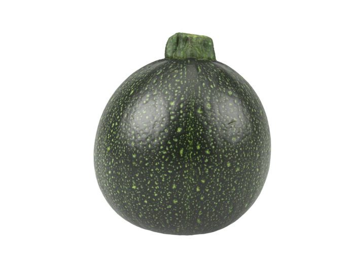 side view rendering of a round zucchini 3d model