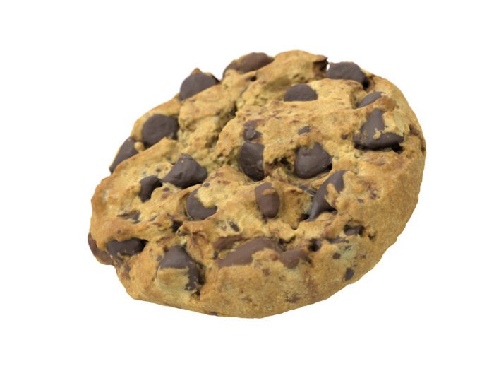 perspective view rendering of a chocolate chip 3d model