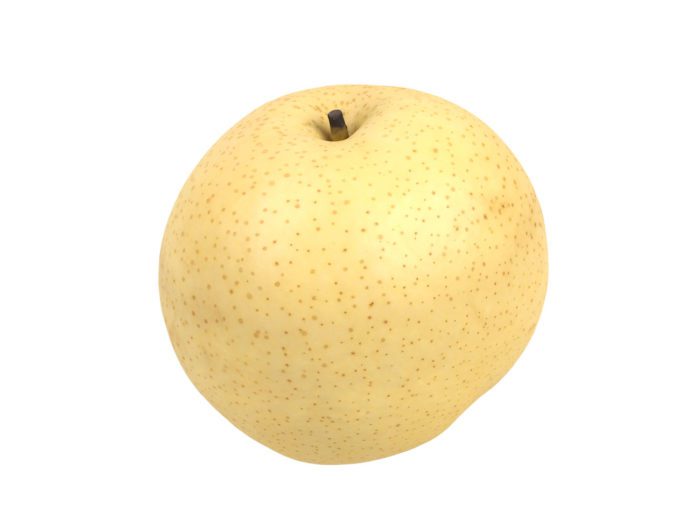 perspective view rendering of a nashi pear (chinese pear) 3d model