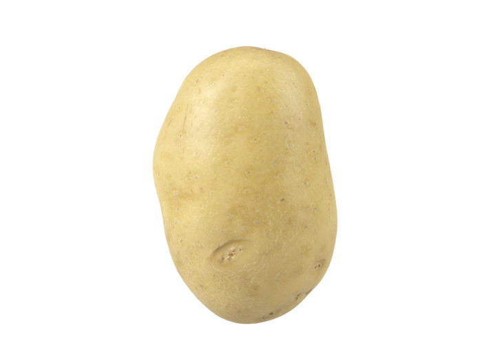side view rendering of a potato 3d model