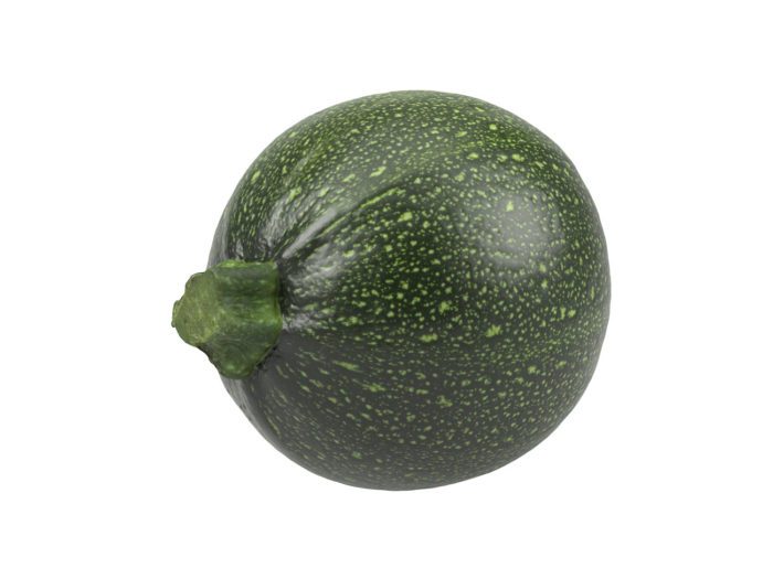 front view rendering of a round zucchini 3d model