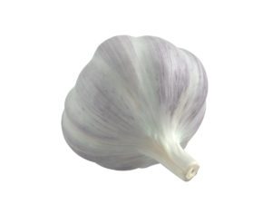Garlic #1