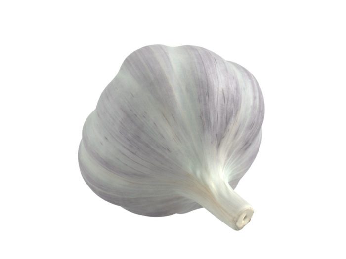 top view rendering of a garlic 3d model