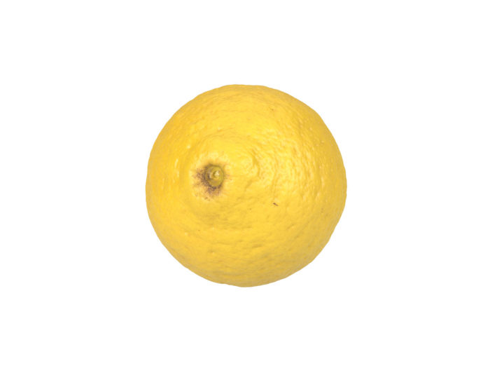 top view rendering of a lemon 3d model