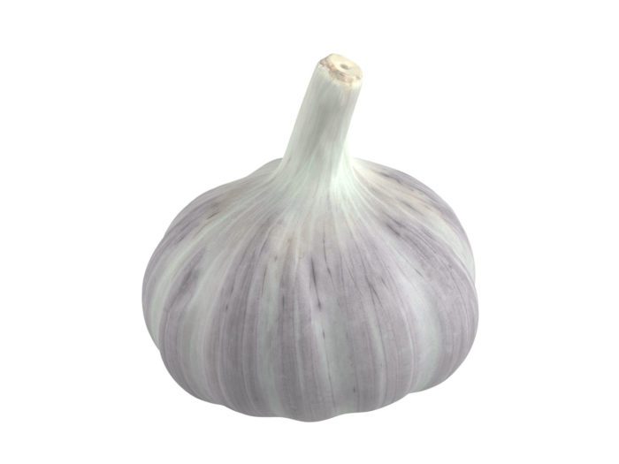 perspective view rendering of a garlic 3d model
