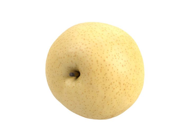top view rendering of a nashi pear (chinese pear) 3d model