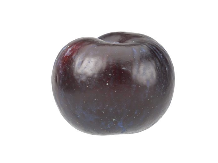side view rendering of a plum 3d model