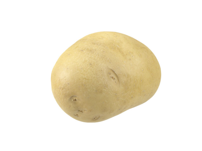 back view rendering of a potato 3d model