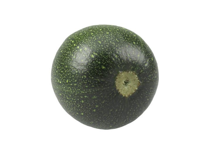 back view rendering of a round zucchini 3d model