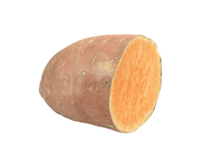 perspective view rendering of a sweet potato half 3d model