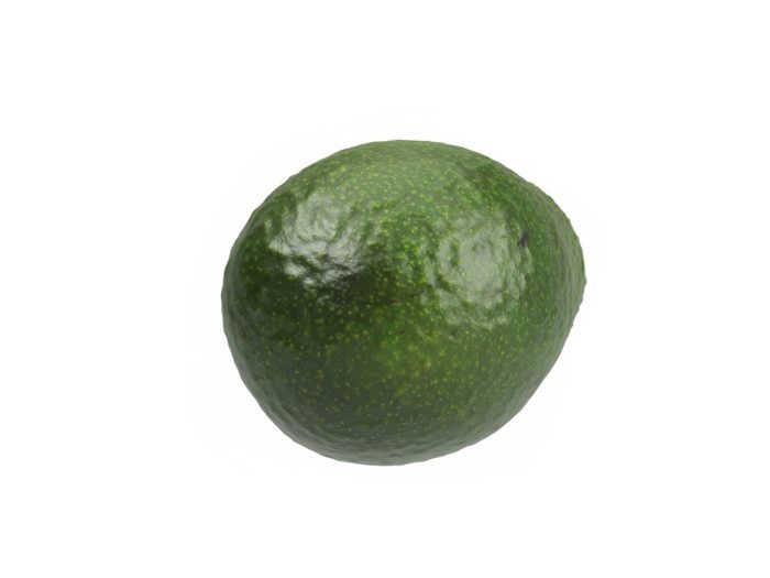 bottom view rendering of an avocado 3d model