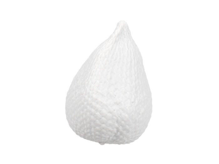 clay rendering of a salak or snake fruit 3d model