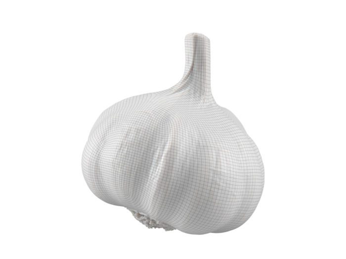 wireframe rendering of a garlic 3d model