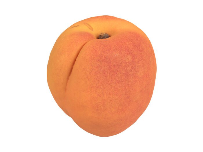 perspective view rendering of an apricot 3d model