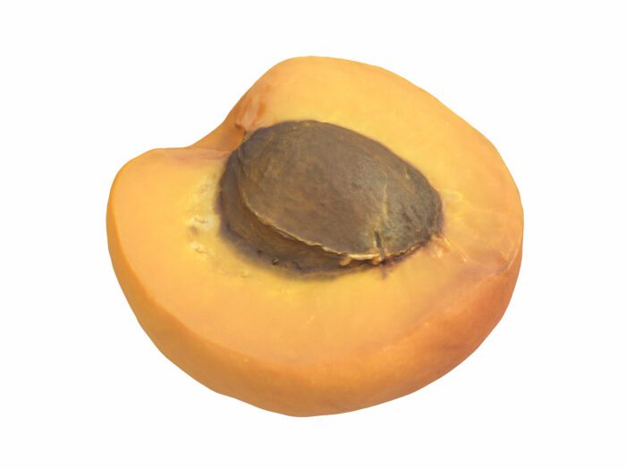 perspective view rendering of an apricot half 3d model
