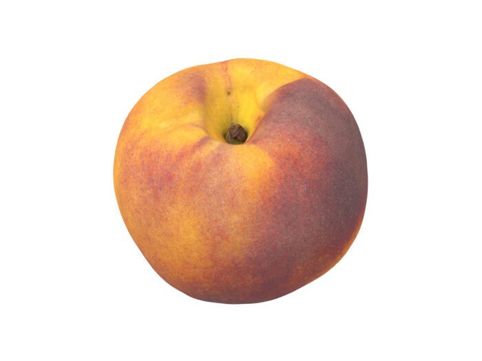 perspective view rendering of a peach 3d model