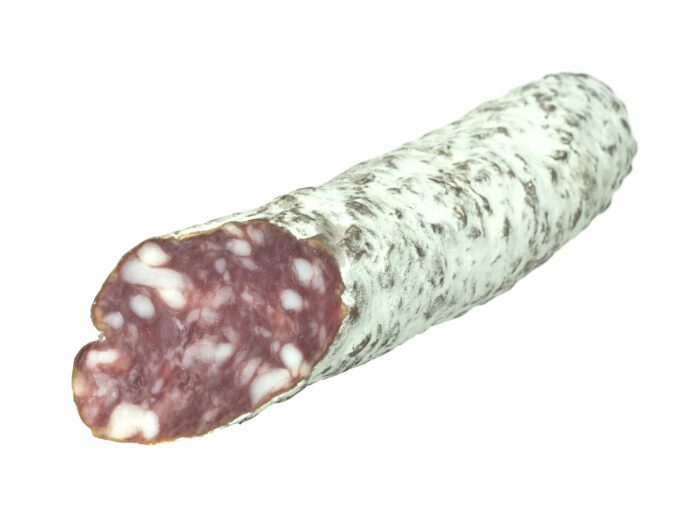 perspective view rendering of a salami 3d model