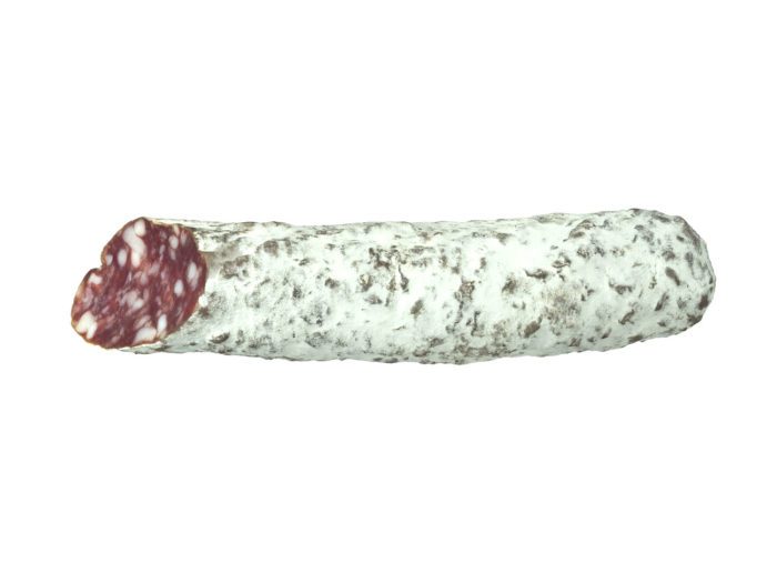side view rendering of a salami 3d model