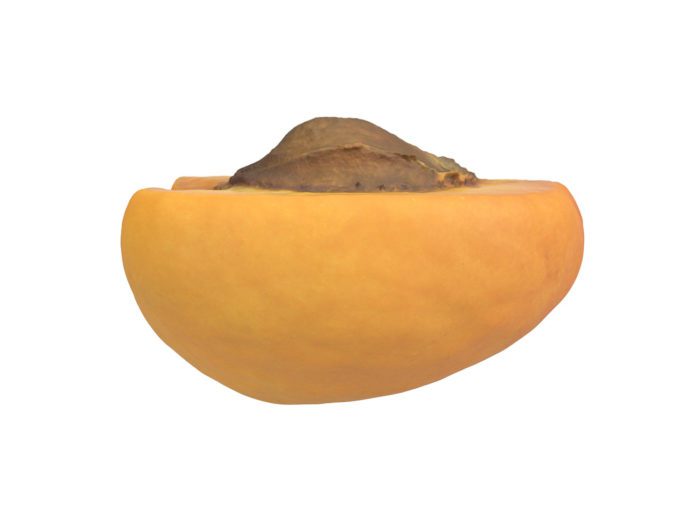 side view rendering of an apricot half 3d model