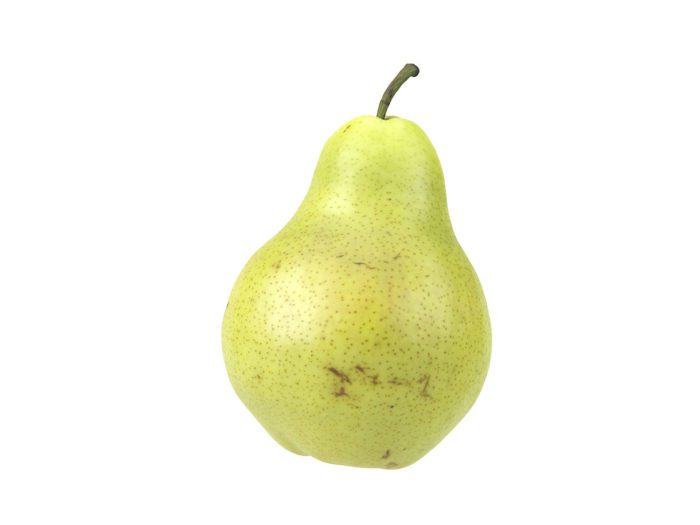 front view rendering of a pear 3d model