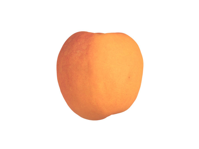 side view rendering of an apricot 3d model