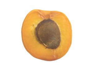 Apricot Half #1