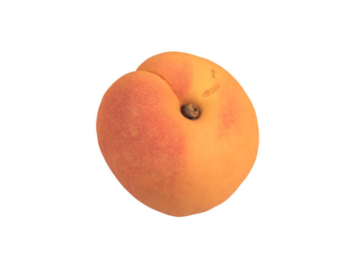 top view rendering of an apricot 3d model