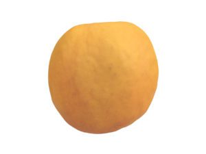 Apricot Half #1