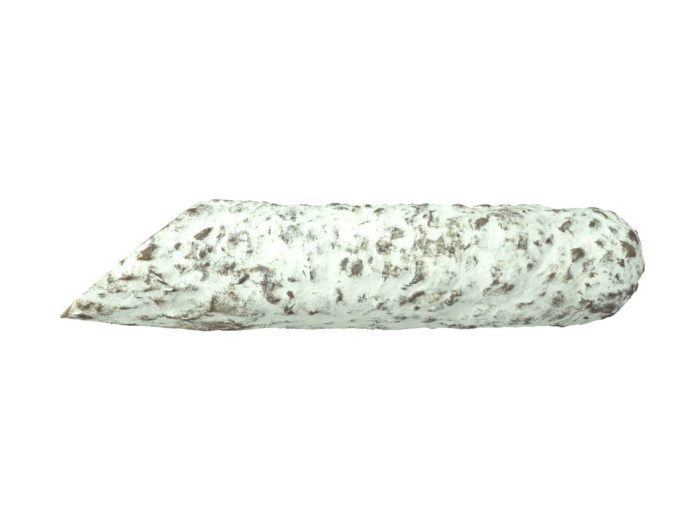 side view rendering of a salami 3d model