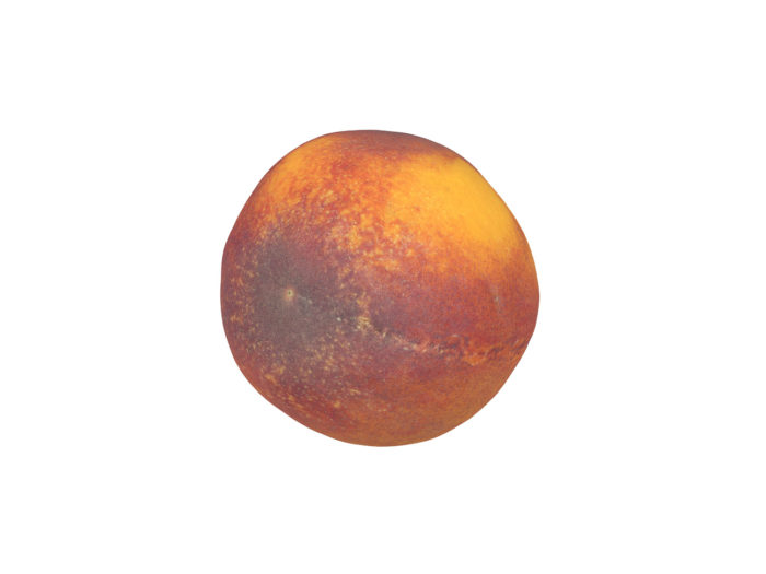 bottom view rendering of a peach 3d model