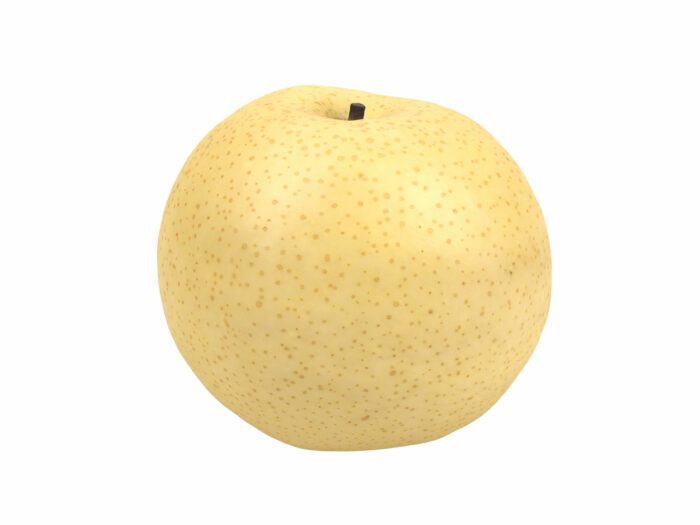 front view rendering of a nashi pear (chinese pear) 3d model