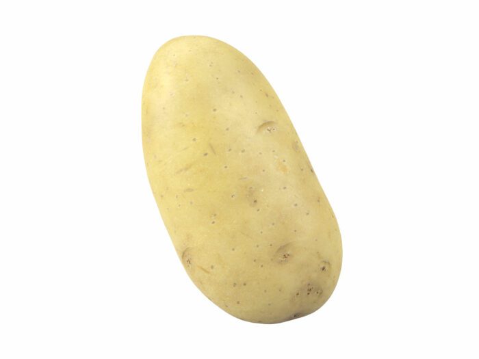 perspective view rendering of a potato 3d model