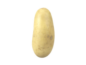 Potato #3