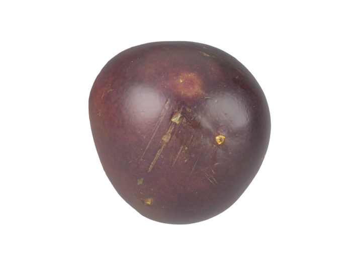 bottom view rendering of a passion fruit half 3d model