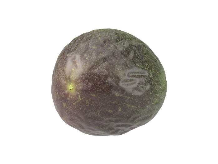 bottom view rendering of a passion fruit 3d model