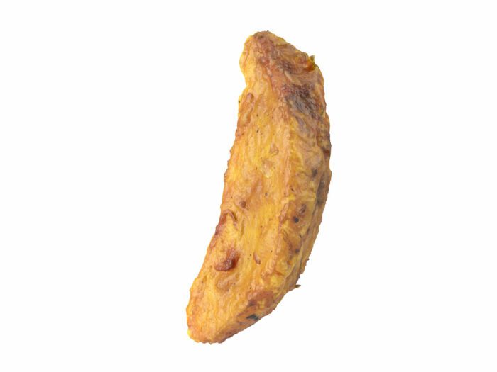 perspective view rendering of a fried potato wedge 3d model