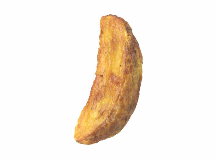 perspective view rendering of a fried potato wedge 3d model