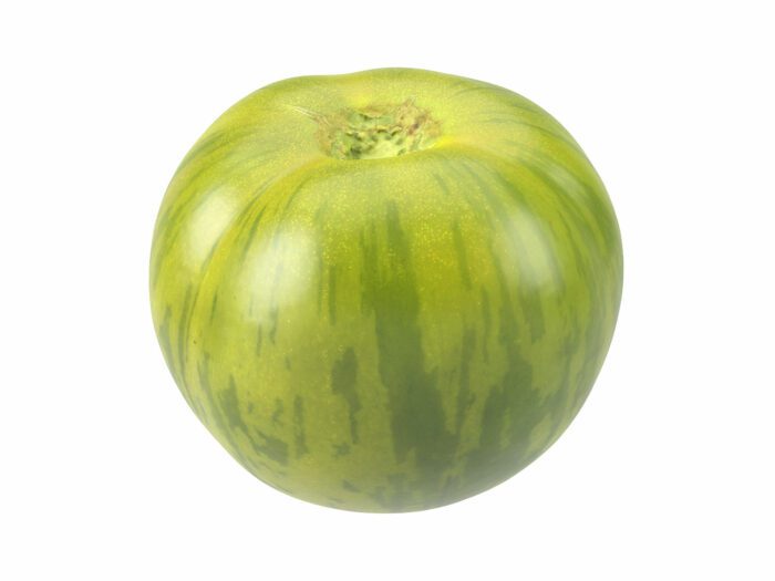 perspective view rendering of a green zebra tomato 3d model