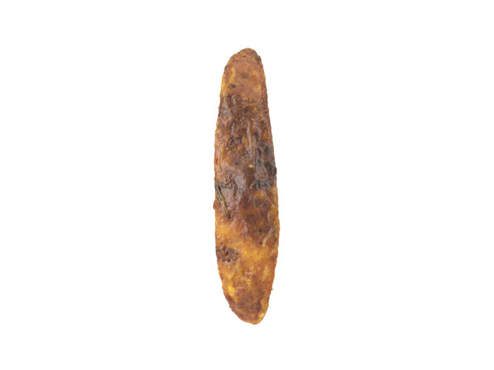 back view rendering of a fried potato wedge 3d model