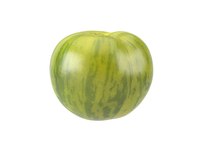 side view rendering of a green zebra tomato 3d model
