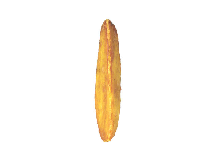 front view rendering of a fried potato wedge 3d model